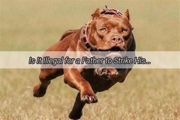 Is It Illegal for a Father to Strike His Dog A HeartStirring Exploration of Animal Rights and Family Dynamics